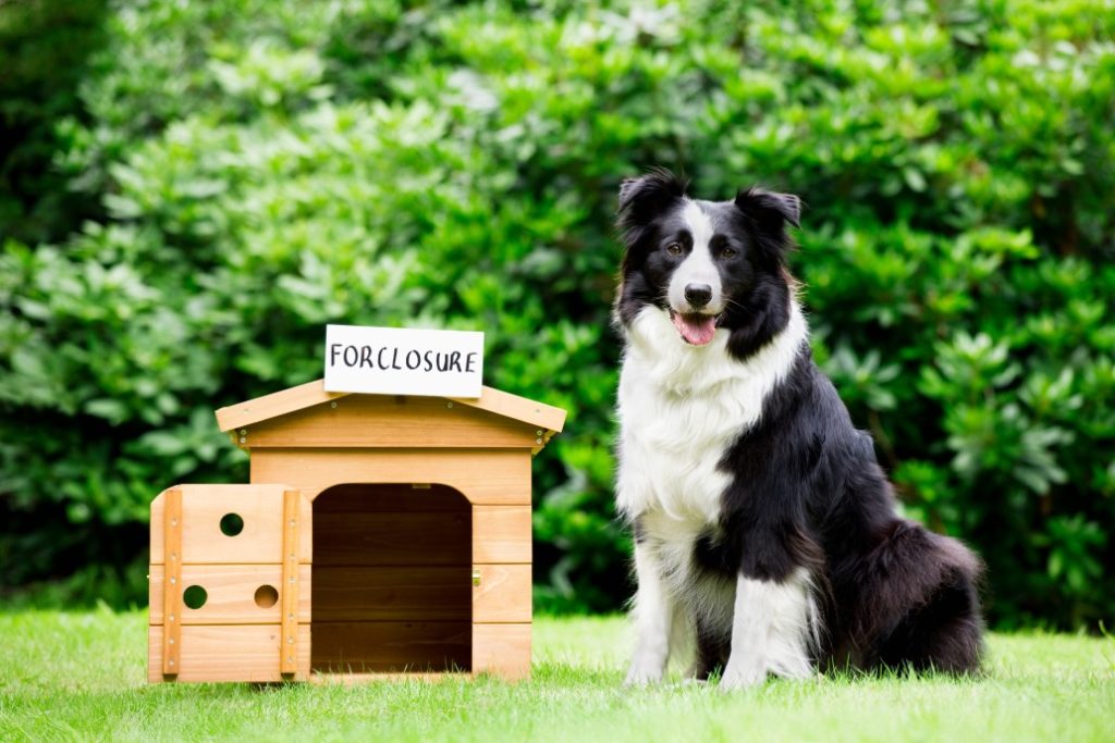 foreclosure dog house